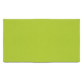 R07979.55 - Sparky sports towel, light green 